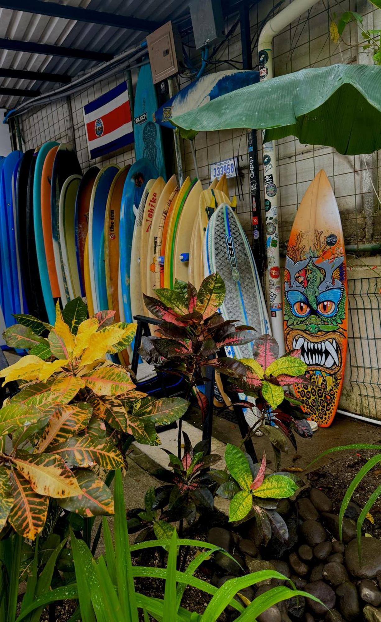 El Chante Surf House Playa Santa Teresa  Esterno foto